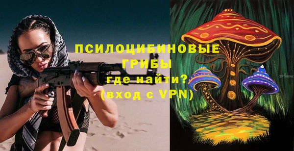 кокс Алексин