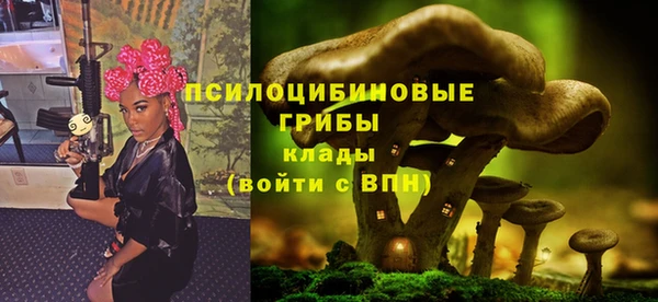 кокс Алексин