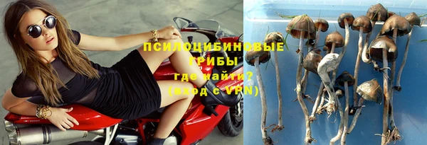 каннабис Алексеевка