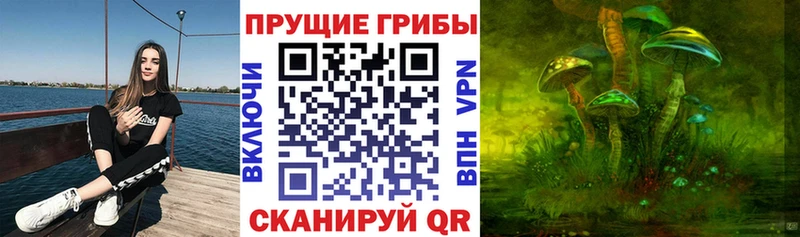 Псилоцибиновые грибы прущие грибы  Кукмор 
